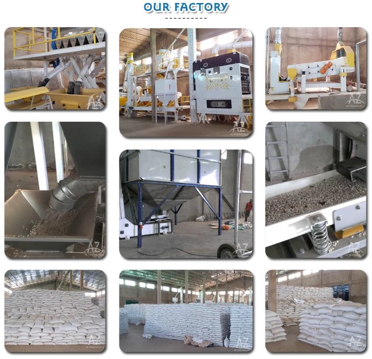 Our-Factory.jpg