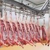 /product-detail/frozen-pork-carcass-brazil-origin-62013538859.html