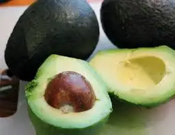 Fresh Avocado
