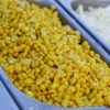 /product-detail/yellow-maize-62010788032.html