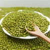 /product-detail/whole-green-mung-bean-from-vietnam-62009516619.html