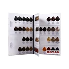 professional well-display standard catalogue hair color chart for loreal