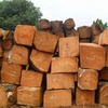Sell African Hardwood Timber logs Iroko, Doussie, Koso