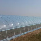 Transparent No drops film fruit plants agricultural uv film greenhouse plastic film