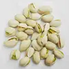 /product-detail/top-selected-premium-pistachios-with-the-best-price-world-famous-turkish-62013546128.html