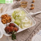 Disposable Biodegradable Food Container 3 Compartments