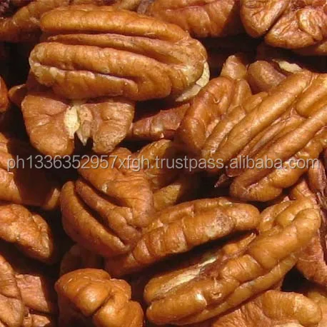 quality pecan nuts for sale/ pecan nut in shell