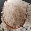 Round Rice