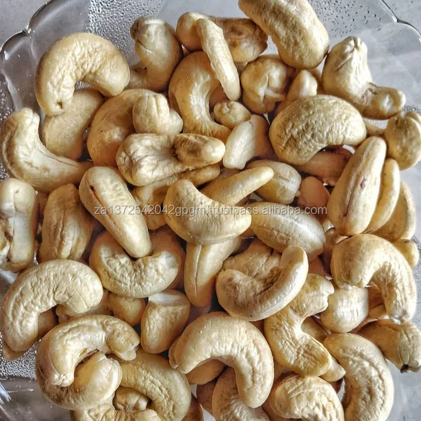 Grade A High Quality Cashew Nuts Organic Cashew Nuts W320 W240