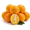 /product-detail/buy-cheap-and-best-price-oranges-valencia-orange-navel-orange-62011604167.html