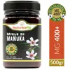 /product-detail/manuka-honey-400-mgo-500-grams-made-in-new-zealand-100-pure-and-natural-active-and-raw-methylglyoxal-content-tested-62015674593.html