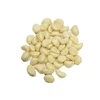 /product-detail/premium-quality-package-fresh-vacuum-packed-buyer-peeled-garlic-by-thai-herbal-medical-doctor-62014321561.html