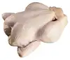 /product-detail/fresh-frozen-whole-chicken-brazil-origin-62013286909.html