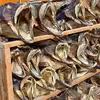 Quality Dry Salted Stock Fish/ Dried Fish /Dried smoked fish....