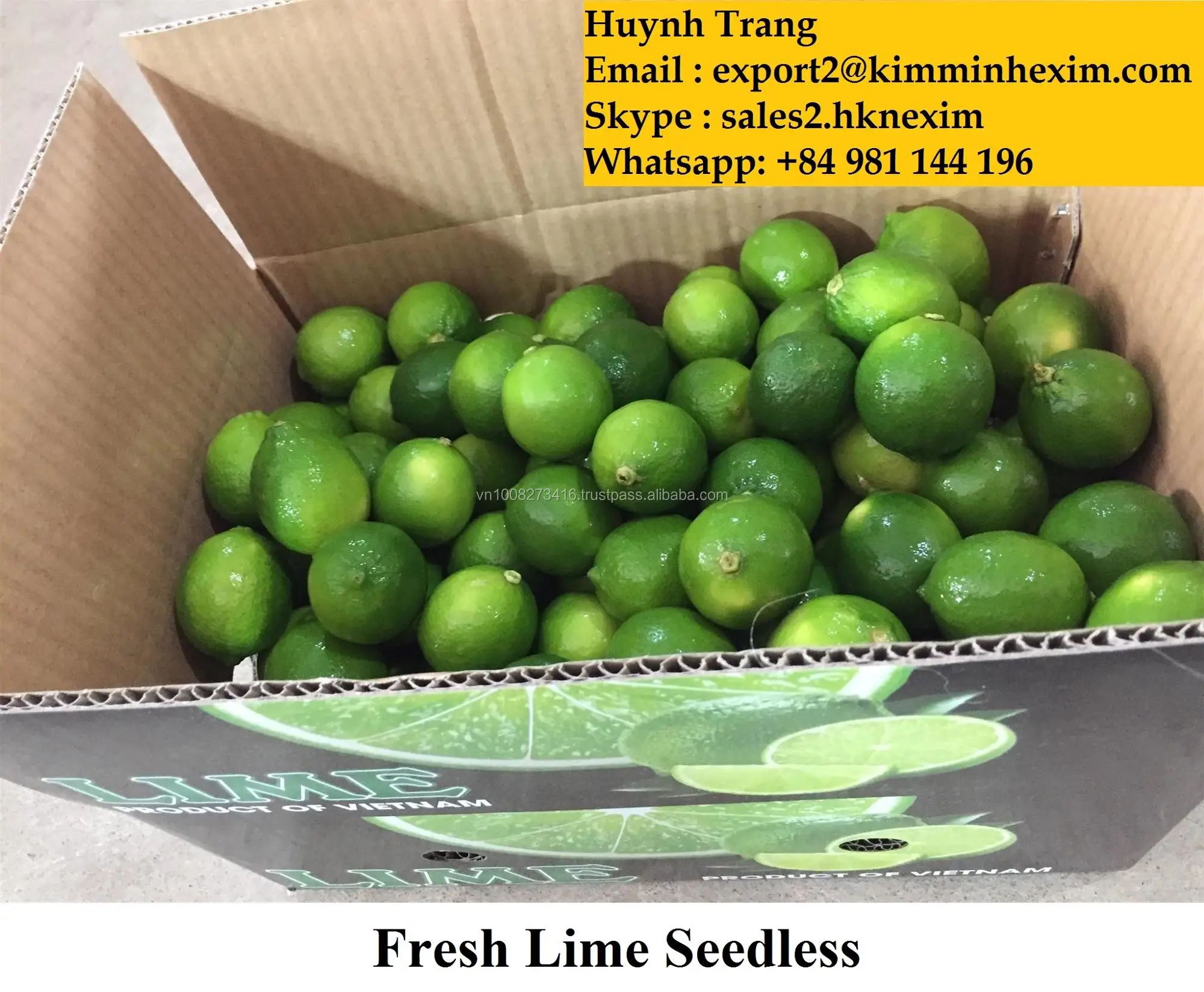 high quality green lime seedless ( whatsapp :  84