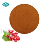 100% Natural China Miller Berry Powder Wolfberry Extract for Antioxidant