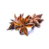 Star anise with cheap price and best quality star aniseed vietnam