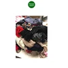 /product-detail/rare-quality-mix-imported-used-clothes-for-bulk-customers-62015451543.html