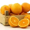 /product-detail/top-quality-best-prices-fresh-oranges-ready-for-export-62014066767.html