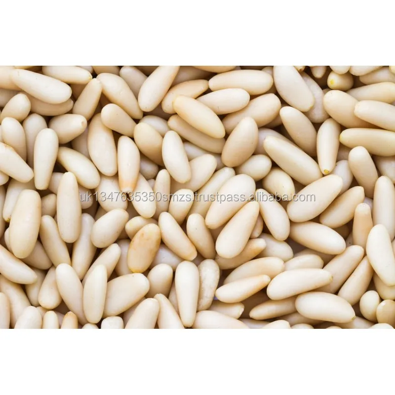 organic pine nut kernel price / chinese pine nut