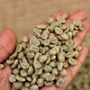 /product-detail/obtain-best-quality-unwashed-robusta-arabica-coffee-bean-from-ethiopia-62016980128.html