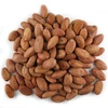 /product-detail/ariba-cocoa-beans-62011964539.html