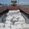 portland cement international prices