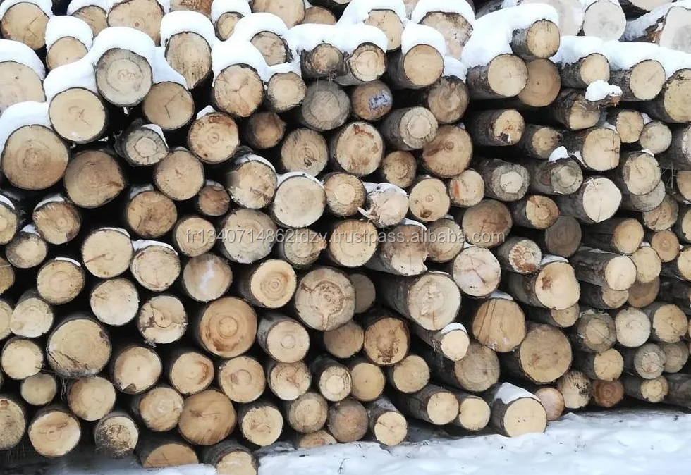 aspen, white poplar lumber, kd, a,ab,c grade