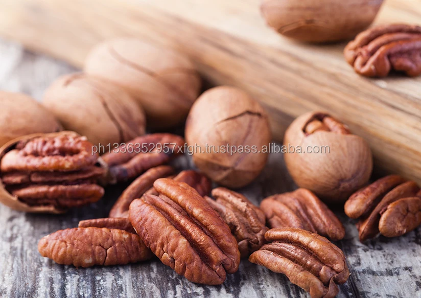 quality pecan nuts for sale/ pecan nut in shell