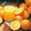 /product-detail/fresh-navel-oranges-fresh-valencia-oranges-for-sale-62012917393.html