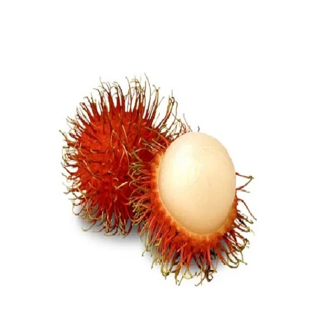 vietnam fresh rambutan fruit / frozen rambutan