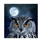Factory wholesale custom home effect wall decoration painting 2019 animal Daquan 5D DIY diamond painting owl full suit