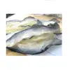 /product-detail/dried-basa-fish-skin-for-eat-origin-vietnam-62011729235.html