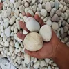 /product-detail/unpolished-rough-river-rock-pebble-stone-buy-from-jilani-62017692898.html