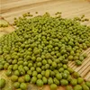 /product-detail/dried-mung-bean-sprouting-seeds-mung-bean-62013829098.html