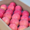 Wholesale origin Chinese Sweet Red Fresh Fruits Apples
