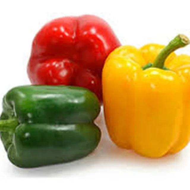 fresh colour capsicums / bell pepper / green colour red bell