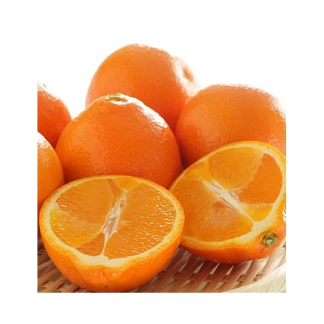 Vietnam Fresh Citrus Fruit Orange With Haccp Gap Certificate High Quality Orange Fresh Fruit At Competitive Price Buy البرتقال الطازجة فواكه حمضية برتقالي Pi Pc برتقالي النظارات الشمسية البرتقال النفط البرتقال الخشب عصا فواكه