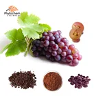 innovative health products oil extraction machine food resveratrol grape seed extract