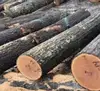Pine/Oak /Beach Wood Logs