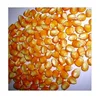 /product-detail/yellow-corn-white-corn-maize-for-human-animal-feed-62011203763.html
