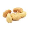 /product-detail/best-supplier-vietnam-dried-cashew-nuts-w320-w240-w450-raw-cashew-nuts-price-kernels-62004632330.html