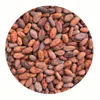 Cocoa Beans - Bulk, RAW & Criollo