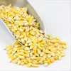 /product-detail/good-quality-bulk-dried-yellow-corn-for-animal-feed-62014421744.html