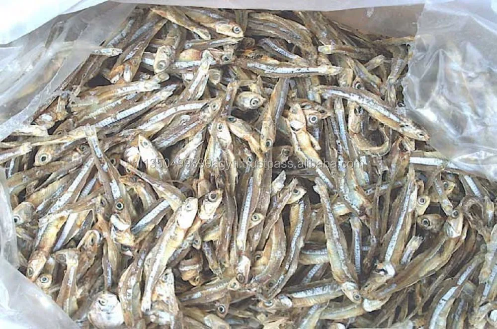 dried anchovy fish