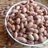 Pinto beans/Sugar beans