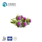 Top Quality Herbal Plant Extract Milk Thistle Extract/ Silymarin 80% silibinin 90% silybum