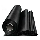 2mm hdpe Geomembrane liner for aquaculture