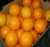 /product-detail/fresh-valencia-orange-fruits-for-sale-cheap-oranges-for-sale-62013447495.html