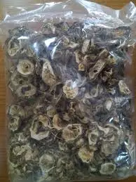 dehydrated-bitter-melon-10.jpg